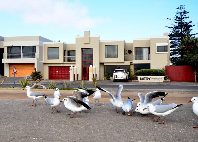 Kleines Nest Bed And Breakfast Walvis Bay Eksteriør billede